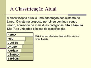 A Classificação Atual
A classificação atual é uma adaptação dos sistema de
Lineu. O sistema proposto por Lineu continua sendo
usado, acrescido de mais duas categorias: filo e família.
São 7,as unidades básicas de classificação.
ESPÉCIE
GÊNERO
FAMÍLIA
ORDEM
CLASSE
FILO
REINO Obs.: para as plantas no lugar de Filo, usa-se o
termo Divisão.
 