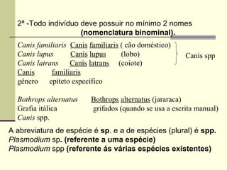 Canis familiaris Canis familiaris ( cão doméstico)
Canis lupus Canis lupus (lobo)
Canis latrans Canis latrans (coiote)
Canis familiaris
gênero epíteto específico
Bothrops alternatus Bothrops alternatus (jararaca)
Grafia itálica grifados (quando se usa a escrita manual)
Canis spp.
2ª -Todo indivíduo deve possuir no mínimo 2 nomes
(nomenclatura binominal).
A abreviatura de espécie é sp. e a de espécies (plural) é spp.
Plasmodium sp. (referente a uma espécie)
Plasmodium spp (referente ás várias espécies existentes)
Canis spp
 
