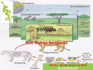 Ecologia

Prof. Rodrigo Bortolanza




             Edición: Renato Soares de Melo
                    By: casimedi.com
 