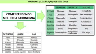 TAXONOMIA (CLASSIFICAÇÃO) DOS SERES VIVOS
COMPREENDENDO
MELHOR A TAXONOMIA
 