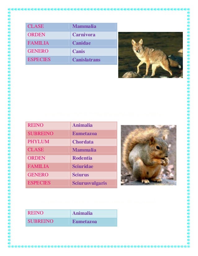 Taxonomia de animales y vegetales