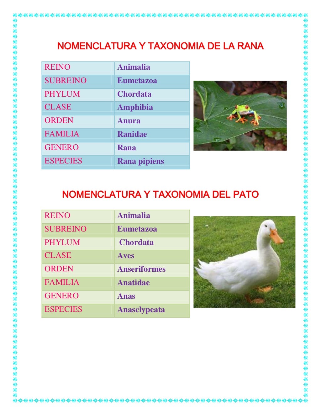 Nomenclatura De La Taxonomia _ La taxonomía de Bloom y sus ...