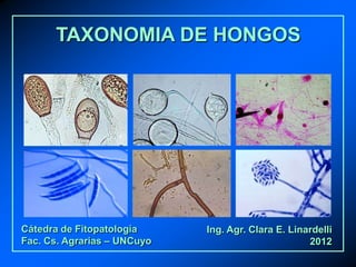 TAXONOMIA DE HONGOS
Cátedra de Fitopatología
Fac. Cs. Agrarias – UNCuyo
Ing. Agr. Clara E. Linardelli
2012
 