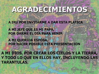 Taxonomia De Las Tarantulas Pwp