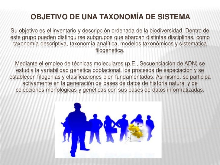 Taxonomia de los sistemas