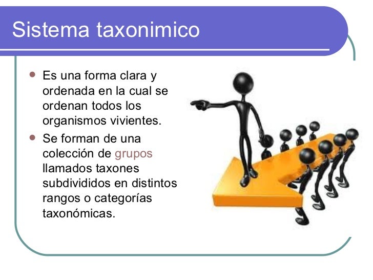 Taxonomia de los sistemas