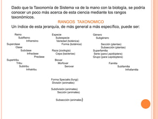 Dado que la Taxonomía de Sistema va de la mano con la biología, se podría
    conocer un poco más acerca de esta ciencia mediante los rangos
    taxonómicos.
                               RANGOS TAXONOMICO
    Un índice de esta jerarquía, de más general a más específico, puede ser:
      Reino                         Especie                    Género
          SubReino                    Subespecie                 Subgénero
                 Infrarreino           Variedad (botánica)
Superclase                                  Forma (botánica)         Sección (plantas)
       Clase                                                         Subsección (plantas)
            Subclase                Raza (zoología)            Superfamilia
                  Infraclase          Cepa (bacterias)         Serie (para Lepidoptera)
                         Preclase                              Grupo (para Lepidoptera)
Supertribu                             Biovar
        Tribu                            Morfovar                          Familia
           Subtribu                           Serovar                                Subfamilia
                 Infratribu                                                               Infrafamilia


                                    Forma Specialis (fungi)
                                     División (animales)

                                    Subdivisión (animales)
                                        Sección (animales)

                                       Subsección (animales)
 
