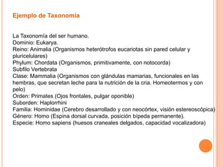 Ejemplo de Taxonomía


La Taxonomía del ser humano.
Dominio: Eukarya.
Reino: Animalia (Organismos heterótrofos eucariotas sin pared celular y
pluricelulares)
Phylum: Chordata (Organismos, primitivamente, con notocorda)
Subfilo Vertebrata
Clase: Mammalia (Organismos con glándulas mamarias, funcionales en las
hembras, que secretan leche para la nutrición de la cria. Homeotermos y con
pelo)
Orden: Primates (Ojos frontales, pulgar oponible)
Suborden: Haplorrhini
Familia: Hominidae (Cerebro desarrollado y con neocórtex, visión estereoscópica)
Género: Homo (Espina dorsal curvada, posición bípeda permanente).
Especie: Homo sapiens (huesos craneales delgados, capacidad vocalizadora)
 