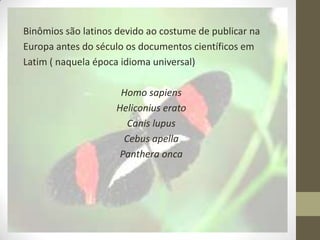 Binômios são latinos devido ao costume de publicar na
Europa antes do século os documentos científicos em
Latim ( naquela época idioma universal)
Homo sapiens
Heliconius erato
Canis lupus
Cebus apella
Panthera onca
 