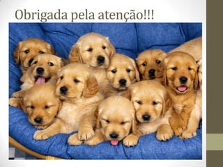 Obrigada pela atenção!!!
 