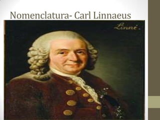 Nomenclatura- Carl Linnaeus
 