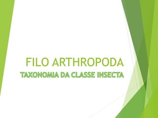 FILO ARTHROPODA  