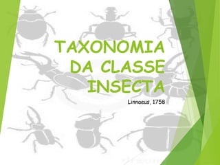 Filoo Insect Taxonomia filo arthropoda, classe insecta | PDF