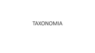 TAXONOMIA
 