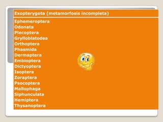 Exopterygota (metamorfosis incompleta)
Ephemeroptera
Odonata
Plecoptera
Grylloblatodea
Orthoptera
Phasmida
Dermaptera
Embioptera
Dictyoptera
Isoptera
Zoraptera
Psocoptera
Mallophaga
Siphunculata
Hemiptera
Thysanoptera
 