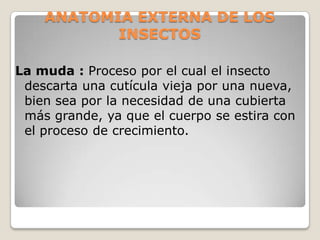 ANATOMIA EXTERNA DE LOS
           INSECTOS

La muda : Proceso por el cual el insecto
 descarta una cutícula vieja por una nueva,
 bien sea por la necesidad de una cubierta
 más grande, ya que el cuerpo se estira con
 el proceso de crecimiento.
 