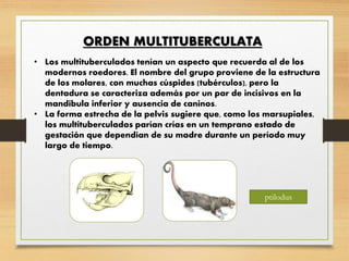 Taxonomia Mamiferos | PPTX