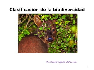 1
Clasificación de la biodiversidad
Prof. María Eugenia Muñoz Jara
 