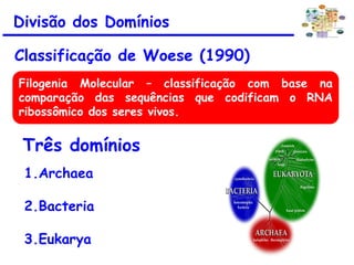 Divisão dos Domínios
Classificação de Woese (1990)
Três domínios
1.Archaea
2.Bacteria
3.Eukarya
Filogenia Molecular – classificação com base na
comparação das sequências que codificam o RNA
ribossômico dos seres vivos.
 