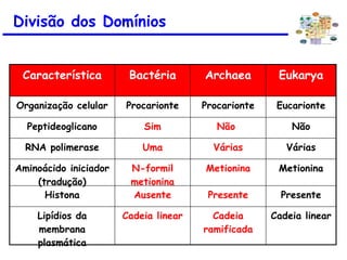 Divisão dos Domínios
Característica Bactéria Archaea Eukarya
Organização celular Procarionte Procarionte Eucarionte
Peptideoglicano Sim Não Não
RNA polimerase Uma Várias Várias
Aminoácido iniciador
(tradução)
N-formil
metionina
Metionina Metionina
Histona Ausente Presente Presente
Lipídios da
membrana
plasmática
Cadeia linear Cadeia
ramificada
Cadeia linear
 