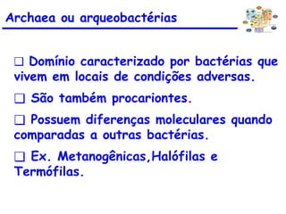 ❑ Domínio caracterizado por bactérias que
vivem em locais de condições adversas.
❑ São também procariontes.
❑ Possuem diferenças moleculares quando
comparadas a outras bactérias.
❑ Ex. Metanogênicas,Halófilas e
Termófilas.
Archaea ou arqueobactérias
 