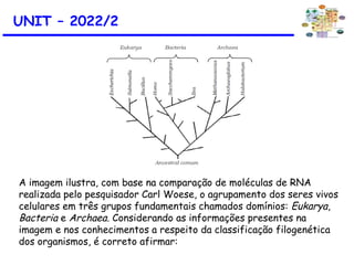 UNIT – 2022/2
A imagem ilustra, com base na comparação de moléculas de RNA
realizada pelo pesquisador Carl Woese, o agrupamento dos seres vivos
celulares em três grupos fundamentais chamados domínios: Eukarya,
Bacteria e Archaea. Considerando as informações presentes na
imagem e nos conhecimentos a respeito da classificação filogenética
dos organismos, é correto afirmar:
 
