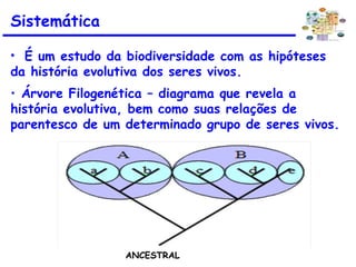 • É um estudo da biodiversidade com as hipóteses
da história evolutiva dos seres vivos.
• Árvore Filogenética – diagrama que revela a
história evolutiva, bem como suas relações de
parentesco de um determinado grupo de seres vivos.
Sistemática
ANCESTRAL
 