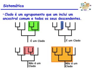 Sistemática
• Clado é um agrupamento que um inclui um
ancestral comum e todos os seus descendentes.
 