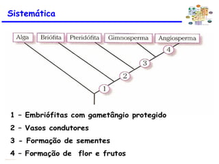 Sistemática
 