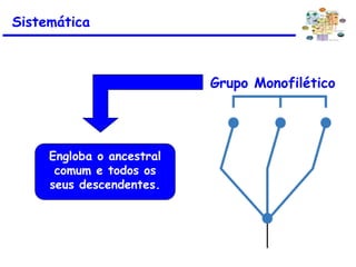 Grupo Monofilético
Engloba o ancestral
comum e todos os
seus descendentes.
Sistemática
 