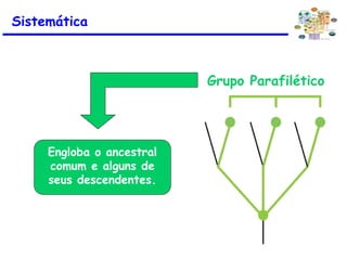 Grupo Parafilético
Engloba o ancestral
comum e alguns de
seus descendentes.
Sistemática
 