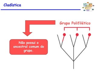 Cladística
Grupo Polifilético
Não possui o
ancestral comum do
grupo.
 