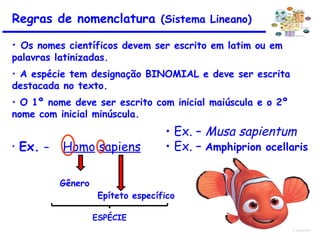 • Ex. – Homo sapiens
Gênero
Epíteto específico
• Ex. – Musa sapientum
• Ex. – Amphiprion ocellaris
Regras de nomenclatura (Sistema Lineano)
• Os nomes científicos devem ser escrito em latim ou em
palavras latinizadas.
• A espécie tem designação BINOMIAL e deve ser escrita
destacada no texto.
• O 1º nome deve ser escrito com inicial maiúscula e o 2º
nome com inicial minúscula.
ESPÉCIE
 