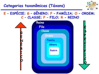 E – ESPÉCIE; G – GÊNERO; F – FAMÍLIA; O – ORDEM;
C – CLASSE; F – FILO; R - REINO
Categorias taxonômicas (Táxons)
G
E
N
É
R
I
C
O
E
S
P
E
C
Í
F
I
C
O
 