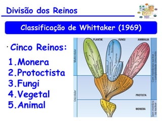 Divisão dos Reinos
Classificação de Whittaker (1969)
•
Cinco Reinos:
1.Monera
2.Protoctista
3.Fungi
4.Vegetal
5.Animal
 