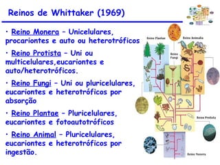 Reinos de Whittaker (1969)
• Reino Monera – Unicelulares,
procariontes e auto ou heterotróficos
• Reino Protista – Uni ou
multicelulares,eucariontes e
auto/heterotróficos.
• Reino Fungi – Uni ou pluricelulares,
eucariontes e heterotróficos por
absorção
• Reino Plantae – Pluricelulares,
eucariontes e fotoautotróficos
• Reino Animal – Pluricelulares,
eucariontes e heterotróficos por
ingestão.
 
