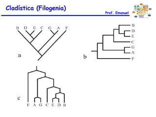 Cladística (Filogenia) Prof. Emanuel 