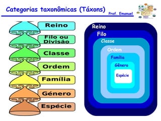 Categorias taxonômicas (Táxons) Prof. Emanuel Reino Filo Classe Ordem Família Gênero Espécie 