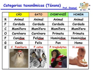 Categorias taxonômicas (Táxons) Prof. Emanuel CÃO GATO CHIMPANZÉ HOMEM R Animal Animal Animal Animal F Cordado Cordado Cordado Cordado C Mamífero Mamífero Mamífero Mamífero O Carnívoro Carnívoro Primata Primata F Canidae Felidae Hominidae Hominidae G Canis Felis Pan Homo E C. Familiaris F.catus P.troglodytes H.sapiens 