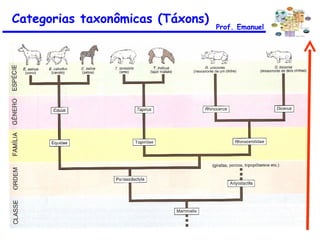 Categorias taxonômicas (Táxons) Prof. Emanuel 