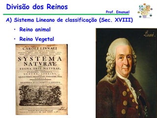 Divisão dos Reinos Prof. Emanuel Sistema Lineano de classificação (Sec. XVIII) Reino animal Reino Vegetal 