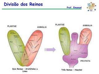 Dois Reinos – Aristóteles a Lineu Três Reinos – Haeckel Divisão dos Reinos Prof. Emanuel 