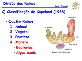 C) Classificação de Copeland (1938) Quatro Reinos: 1. Animal 2. Vegetal 3. Protista 4. Monera Bactérias Algas azuis Divisão dos Reinos Prof. Emanuel 