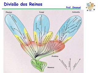 Divisão dos Reinos Prof. Emanuel 