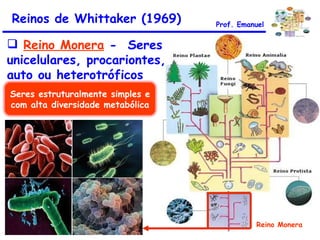 Reinos de Whittaker (1969) Reino Monera  -  Seres unicelulares, procariontes, auto ou heterotróficos Reino Monera Prof. Emanuel Seres estruturalmente simples e com alta diversidade metabólica 