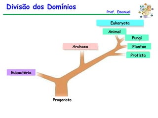 Eubactéria Archaea Eukaryota Animal Fungi Plantae Protista Progenoto Divisão dos Domínios Prof. Emanuel 