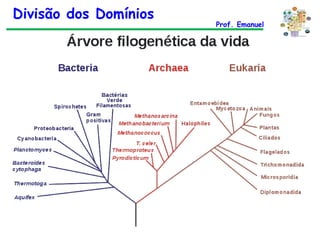 Divisão dos Domínios Prof. Emanuel 
