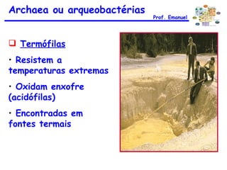 Archaea ou arqueobactérias Termófilas Resistem a temperaturas extremas Oxidam enxofre (acidófilas) Encontradas em fontes termais Prof. Emanuel 
