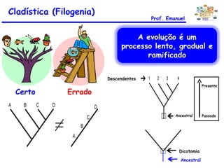 Cladística (Filogenia) Prof. Emanuel Certo Descendentes Ancestral Passado Presente Ancestral Dicotomia Errado A evolução é um processo lento, gradual e ramificado 