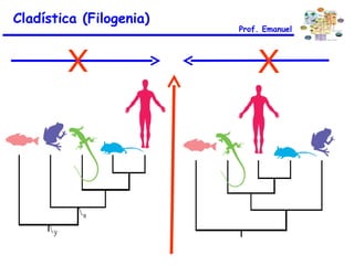 Cladística (Filogenia) Prof. Emanuel X X 